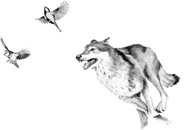 Nus for Design_Tattoo_Skin Storyteller