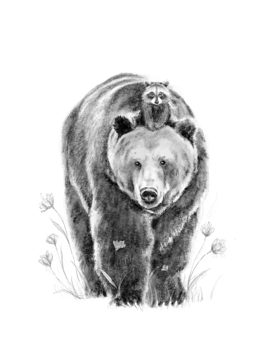Diseños Nus for Design_Ilustración_Osos