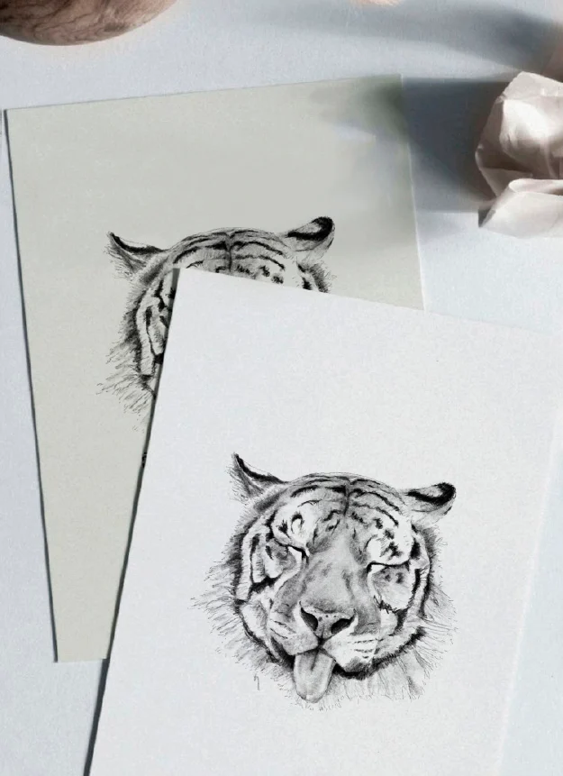 Diseños Nus for Design_Ilustración_Tiger tongue