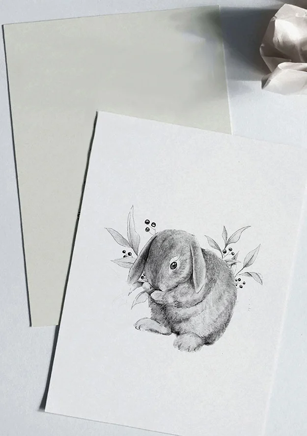 Diseños Nus for Design_Ilustración_Conejo