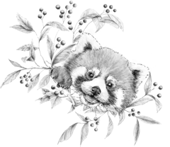 Nus for Design_Tatuaje