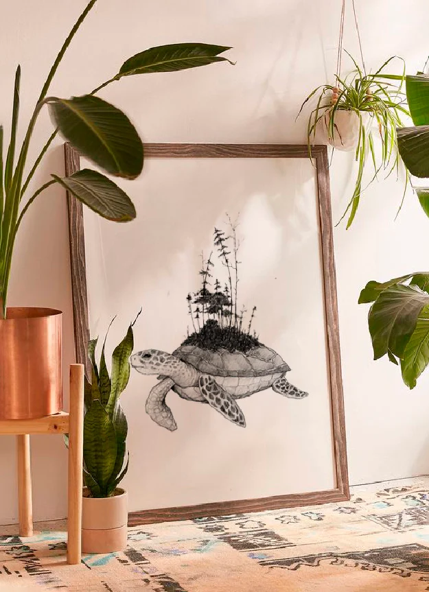 Diseños Nus for Design_Ilustración_Tortuga