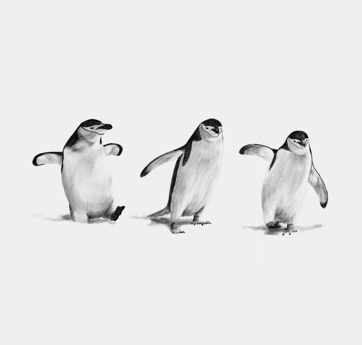 Pingüinos - Nus for Design