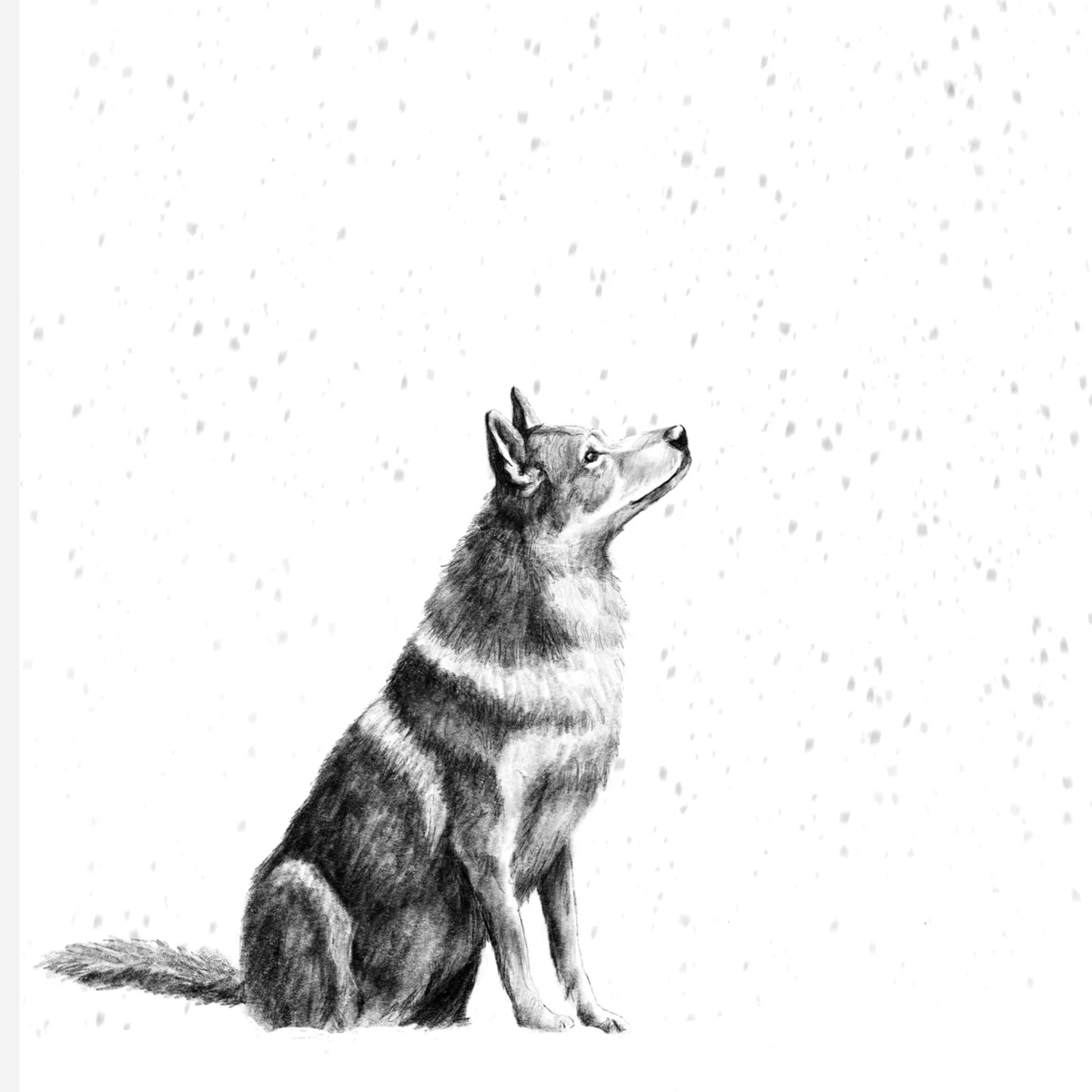 Lobo en la nieve - Nus for Design