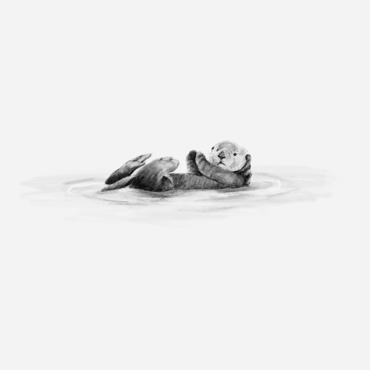 Nutria nadando - Nus for Design